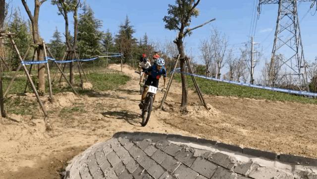 国家网信办处置违法账号,国家网信办违法查处