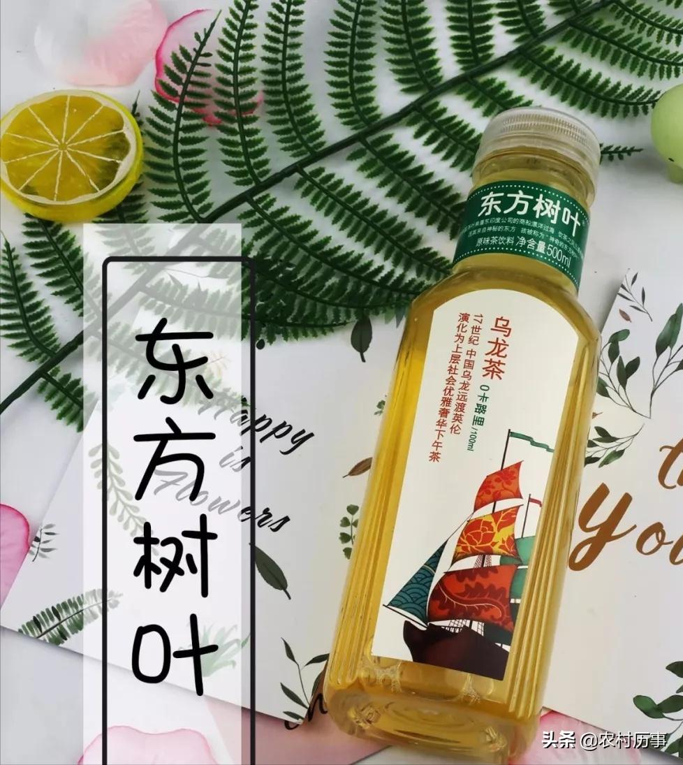 中国最难喝的五种饮料白花蛇草水,白花蛇舌草水饮料效果怎么样