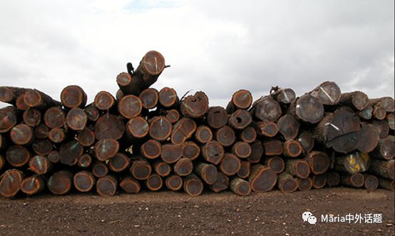 美国硬木干货价格,北美硬木排行