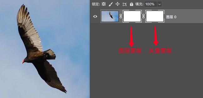 ps各种蒙版使用教程,ps入门学习如何使用蒙版
