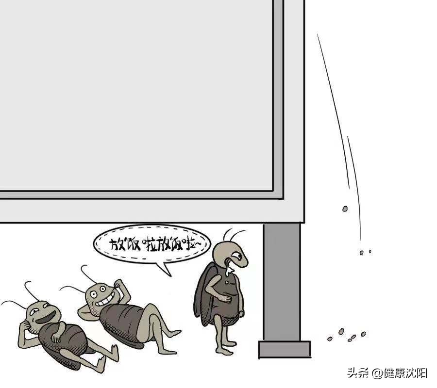 打不死的小强怎么预防,健康消灭蟑螂方法