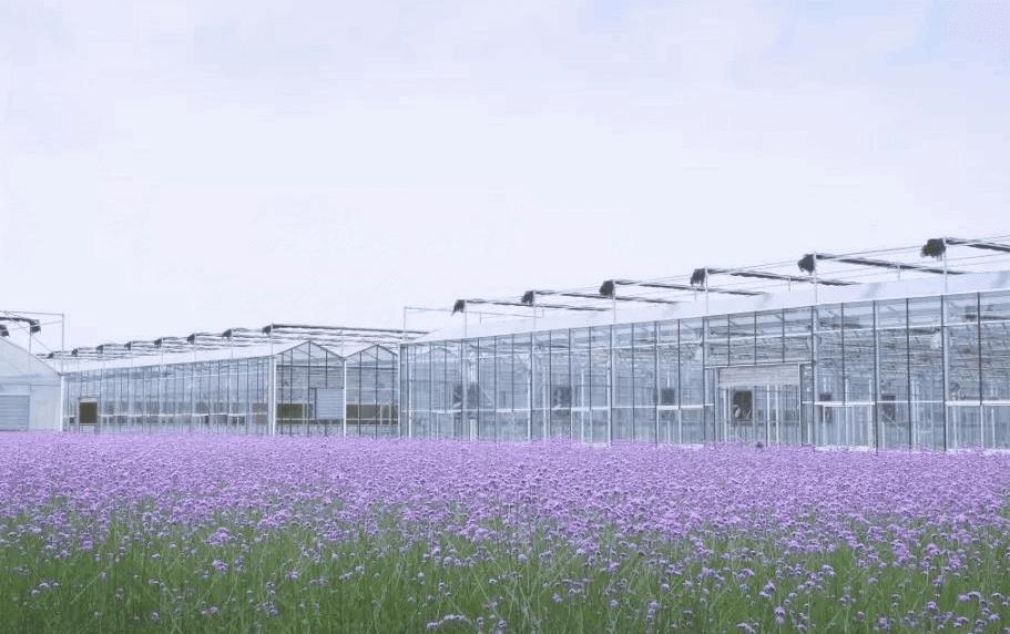 杭州高国飞公示,高国飞西湖区