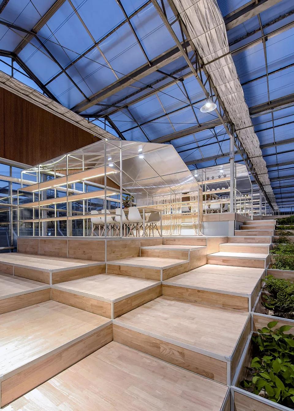 乡村振兴特色文化案例分享,关于乡村振兴比较有创意的点子