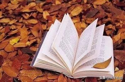 易错英语知识,初中英语必背词语辨析10组