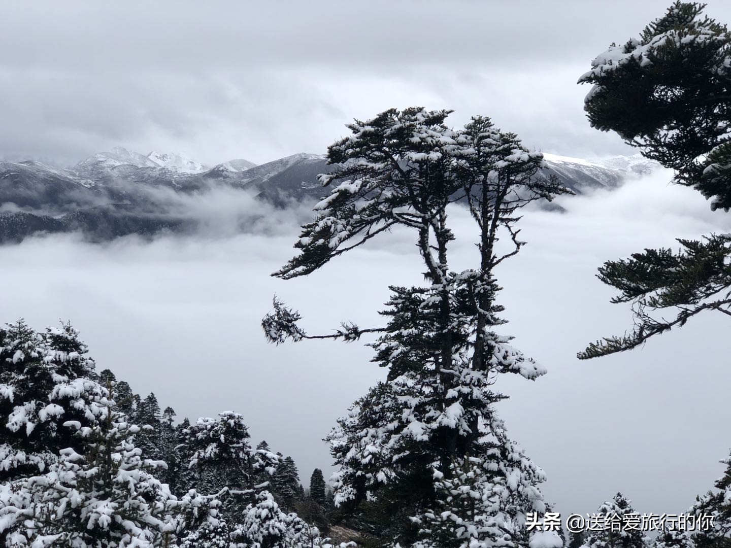 为什么要在北方冬天去西藏,去西藏和川西哪个季节去最好看