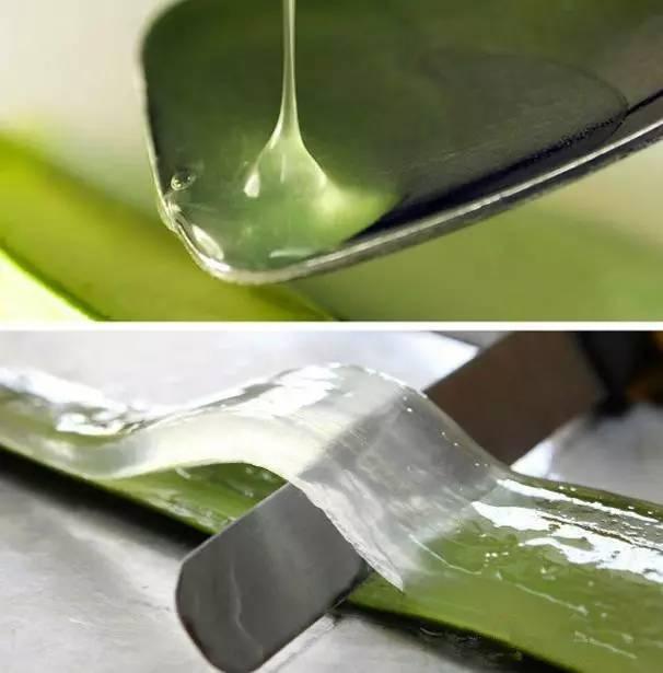 纯天然保湿补水美白祛斑自制面膜,淡斑抗皱精油面膜diy