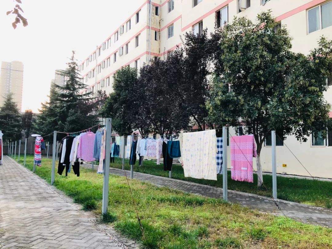 西安三大巨头,西安三巨头学校