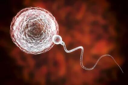 做试管婴儿之前，需要做哪些准备？这里有一份详细攻略