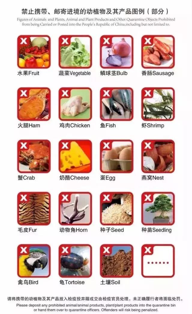 携带危险物品乘车处罚,在机场登机被通知签证取消