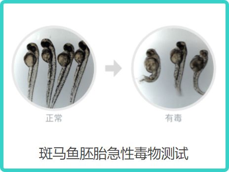 美白精华粉底液,美白养肤粉底液测评