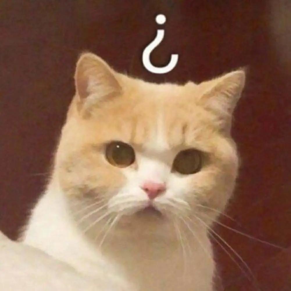 咖啡因的4大真相,咖啡因的四个真相