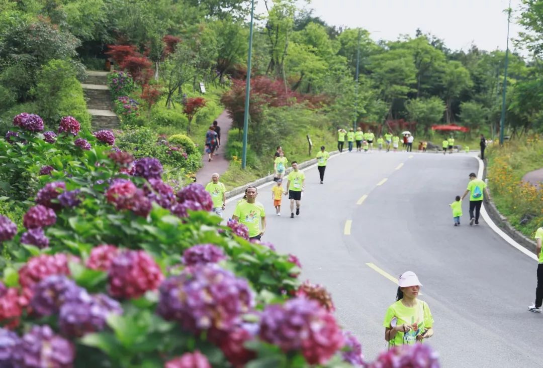 七里坪亲子跑,一场亲子健康跑触动了心灵深处