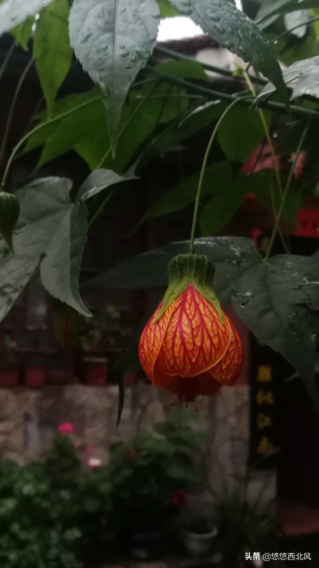 贵州行影像,贵州之旅day1