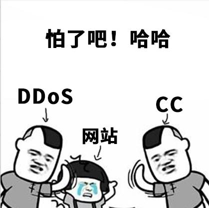 网站防御cc攻击需要注意什么,域名存在cc攻击怎么解决