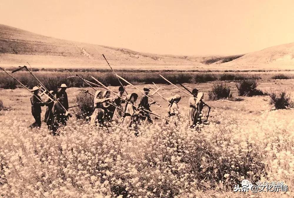 肃北乌兰牧骑高清图片,乌兰牧骑的老照片