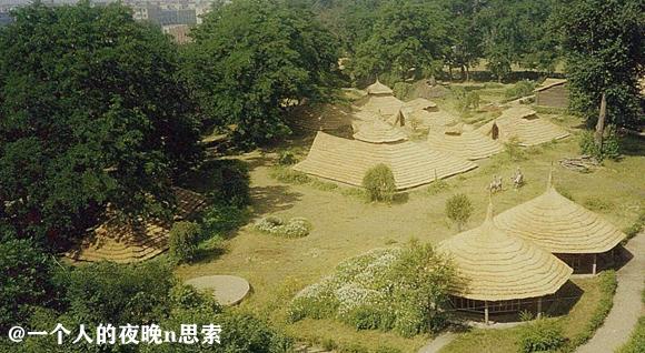 沈阳新乐遗址距今有多少年历史,沈阳新乐遗址历史文化介绍