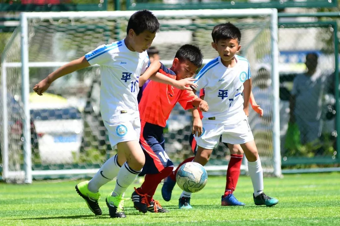 天津中小学幼儿园要开学了,天津新增小学