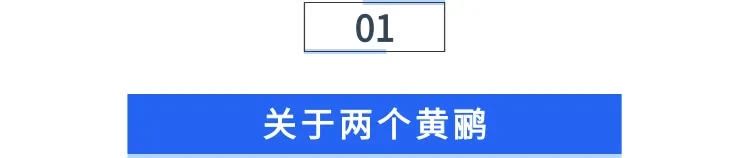 涓や釜榛勯箓鏁欒偛鍩硅瀛︽牎,涓や釜榛勯箓鍩硅瀛︽牎