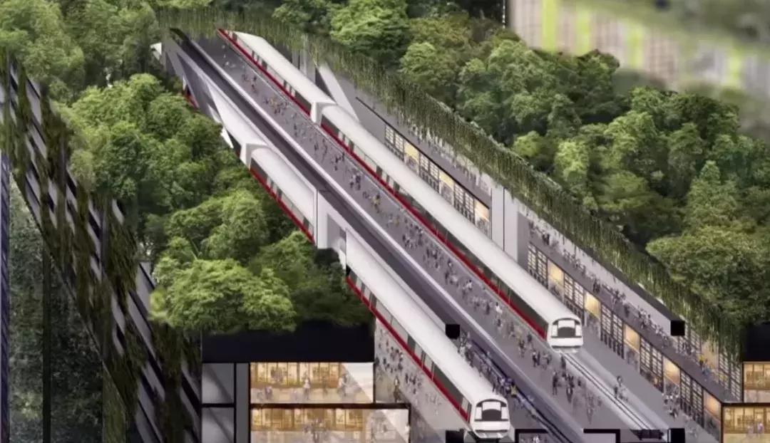 新加坡人口密度大却不拥挤,新加坡和香港哪个人口密度大