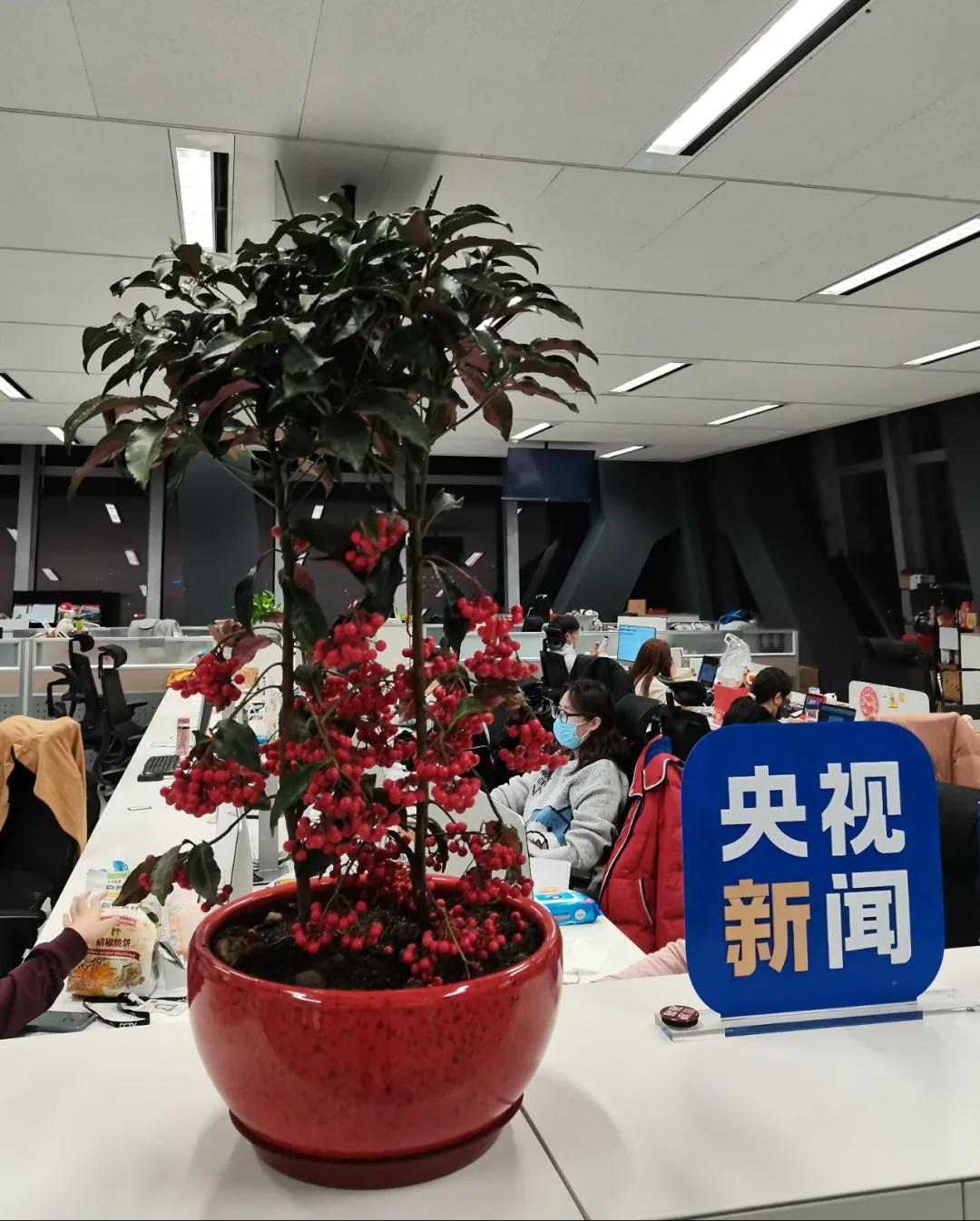 哪一个瞬间让你感觉快过年了,哪瞬间你觉得快过年了