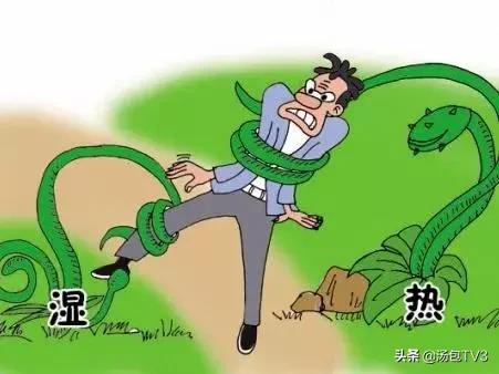 秋来湿未去！有这几个症状的人，你湿气太重了！快学一招排湿毒