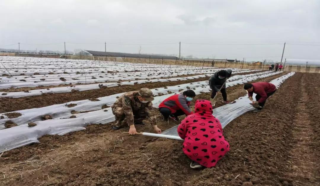 兵头将尾的视频,兵头将尾冲锋在前