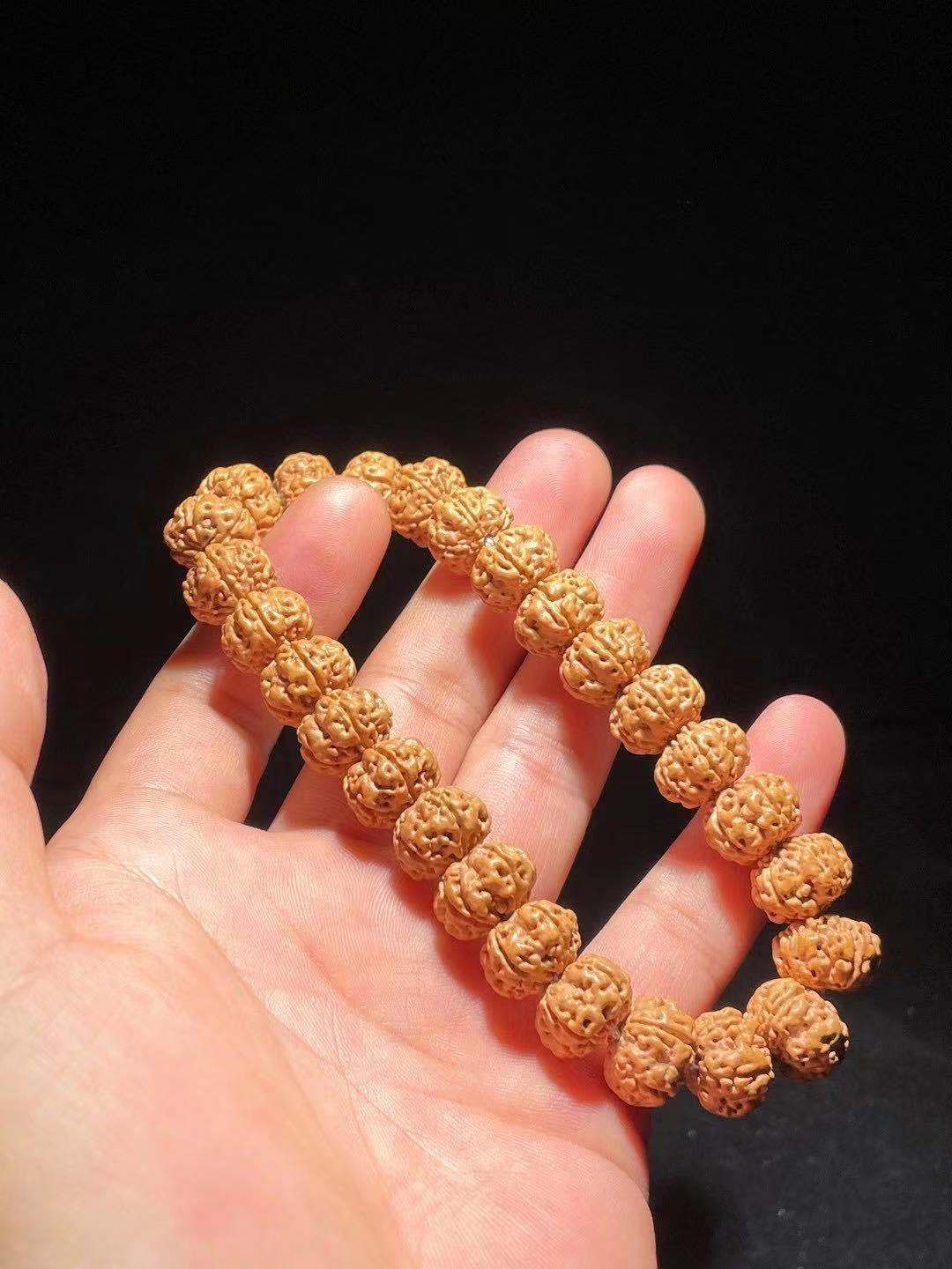 大金刚和小金刚的区别图片,新手入门大金刚