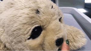 福冈的真实生活,福冈生活常识