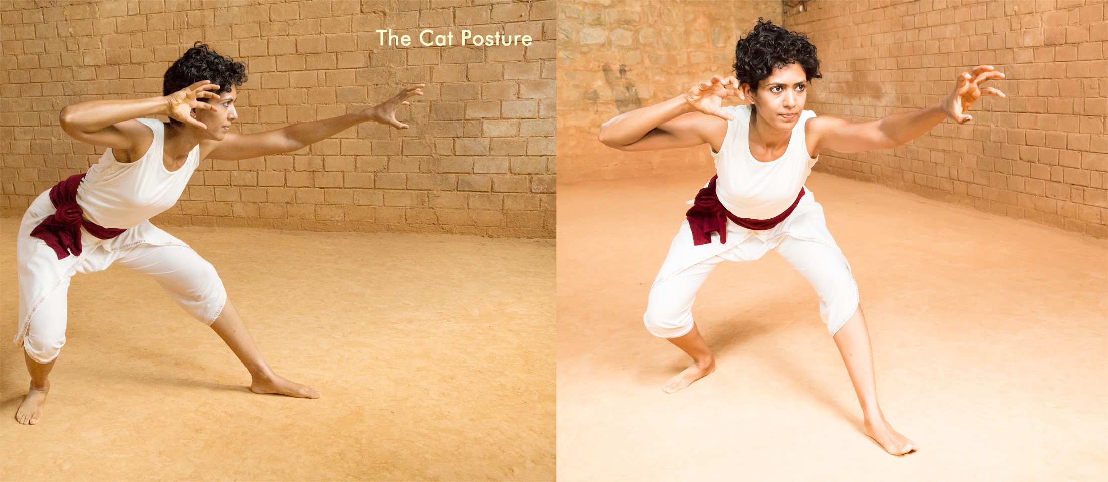 印度古武术展示,印度武术卡拉里帕亚特