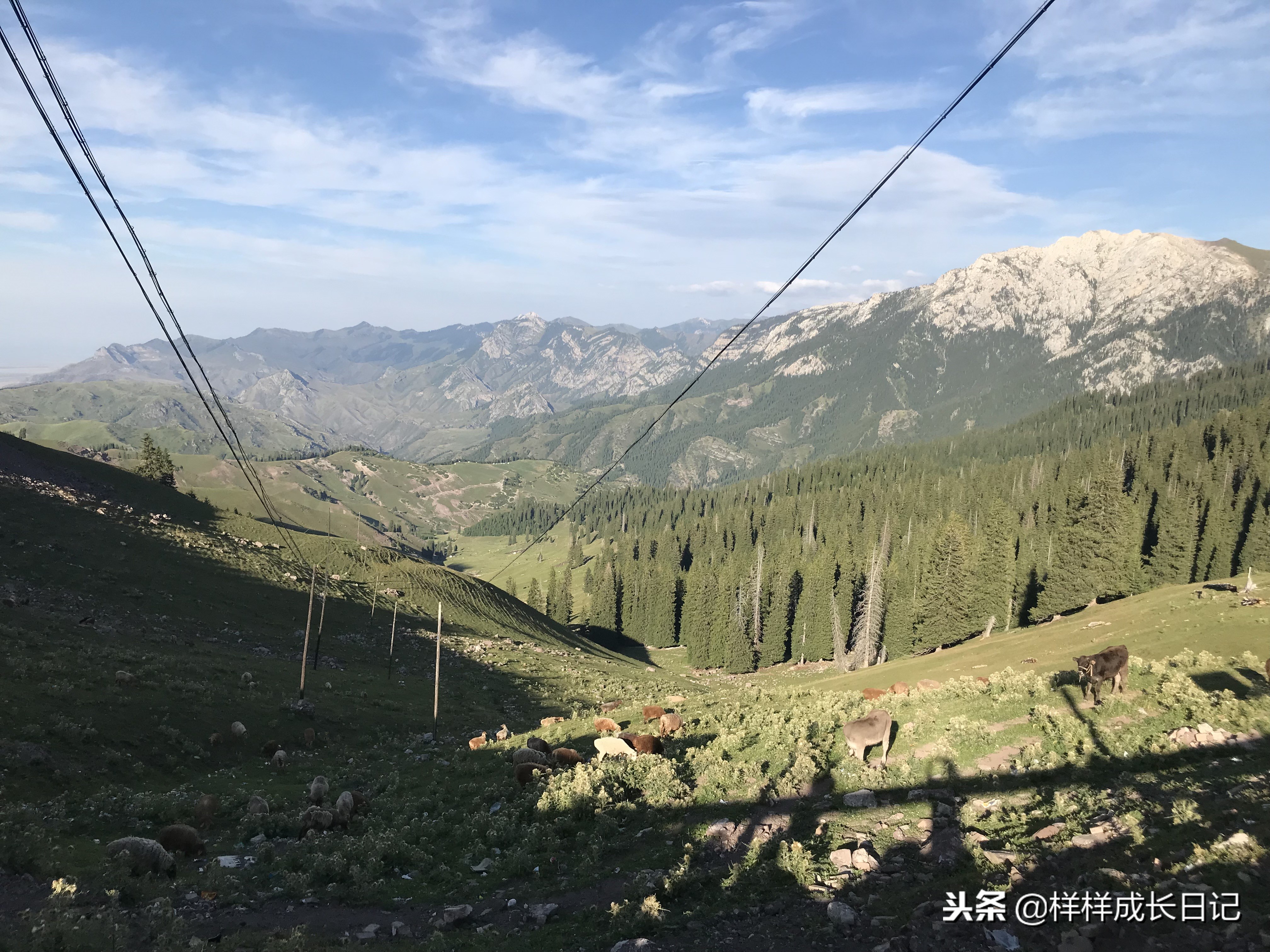 一家三口新疆伊犁旅游,自驾游霍尔果斯路线攻略