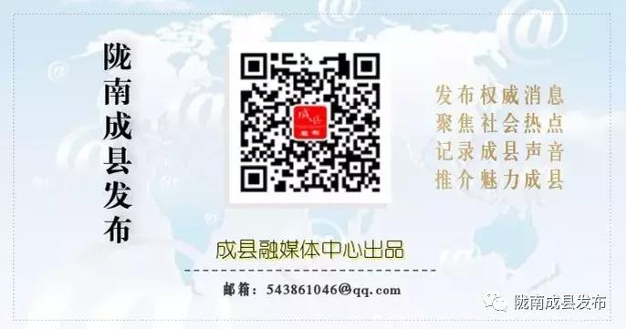 青岛少年足球队华丽转身,足球小将青岛战绩