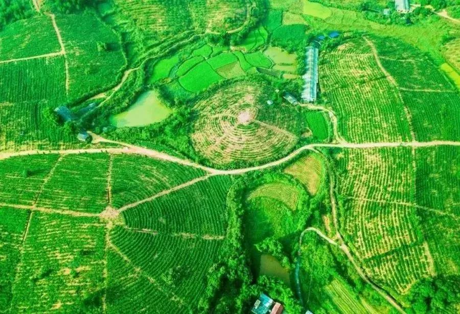 有个地方叫南雄,岭南一隅的南雄