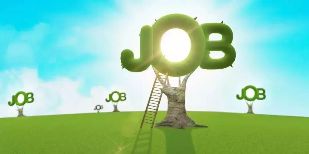 年薪最高的招聘,河南最近有哪些单位在招人