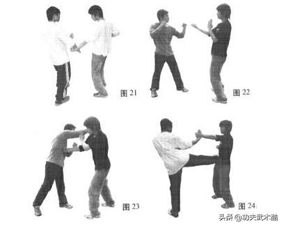 咏春拳三圈手教学,咏春拳三品掌慢动作教学视频