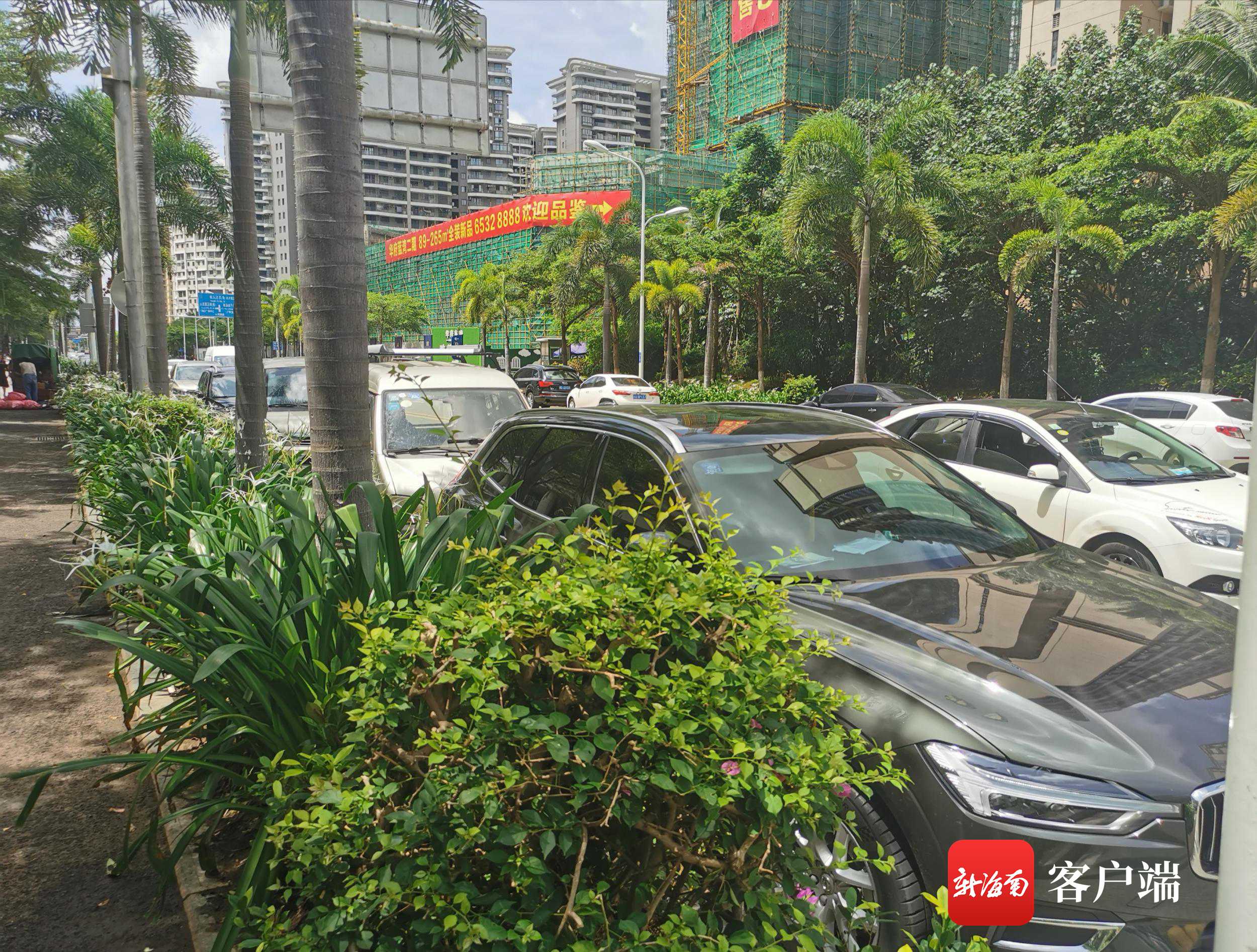 娴峰彛杩滃ぇ璐墿骞垮満杩濆仠澶勭綒,娴峰彛璺竟杩濆仠澶勭綒