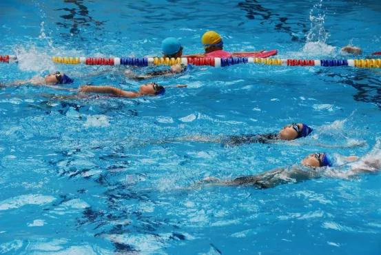 南京市金陵小学南京排名,南京市金陵小学2017