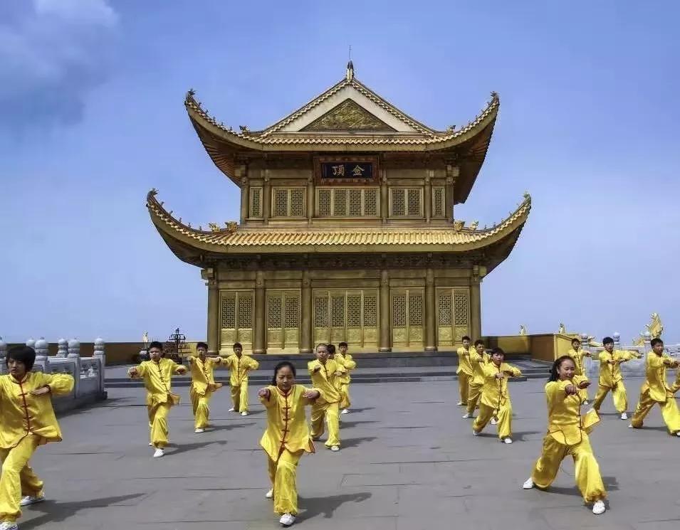 传统运动国家级非物质文化遗产,非遗文化杂技