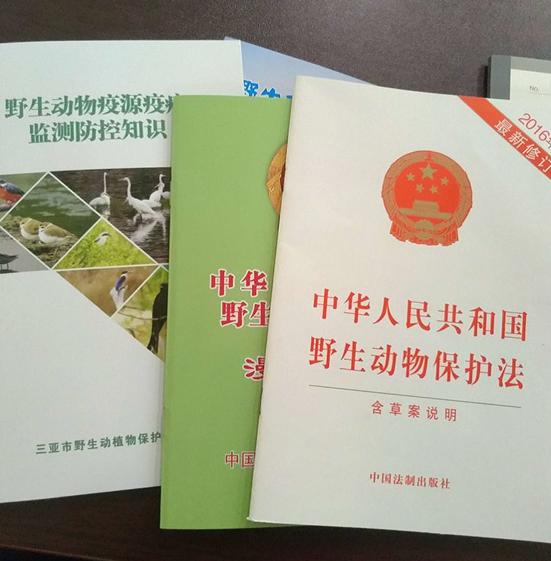 蟒蛇准备偷鸡吃被发现,巨大蟒蛇偷鸡被抓