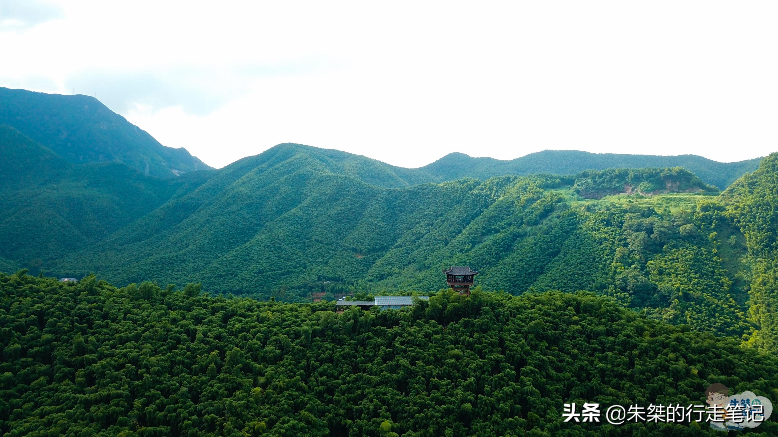 全国有名竹海,华东第一竹海的宜兴