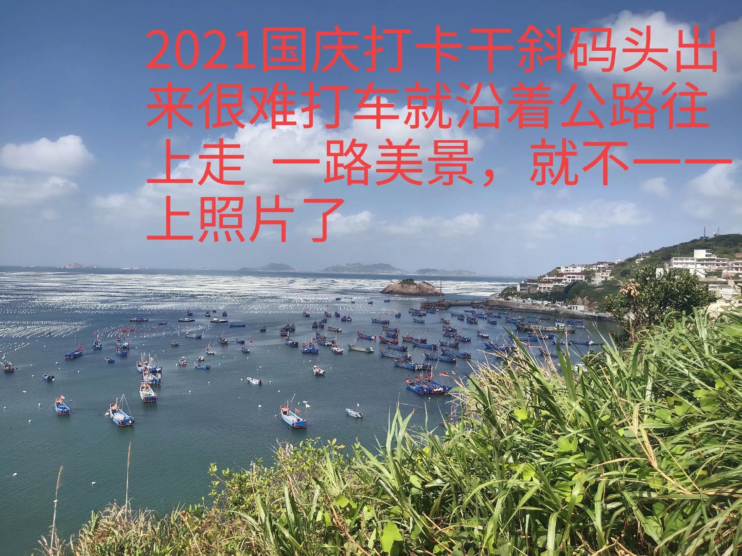 上海到枸杞岛自驾攻略 (上海到枸杞岛)