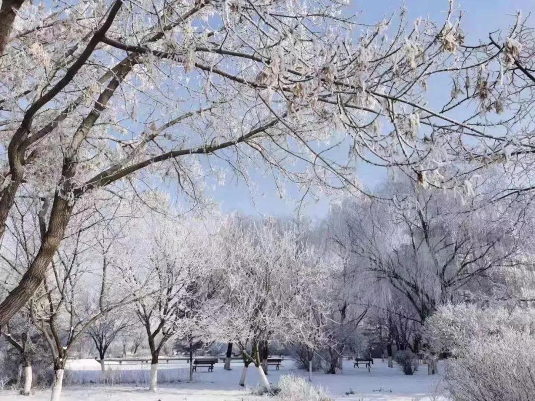 沈阳化工大学辽宁省排名,沈阳化工大学2020招生计划辽宁省