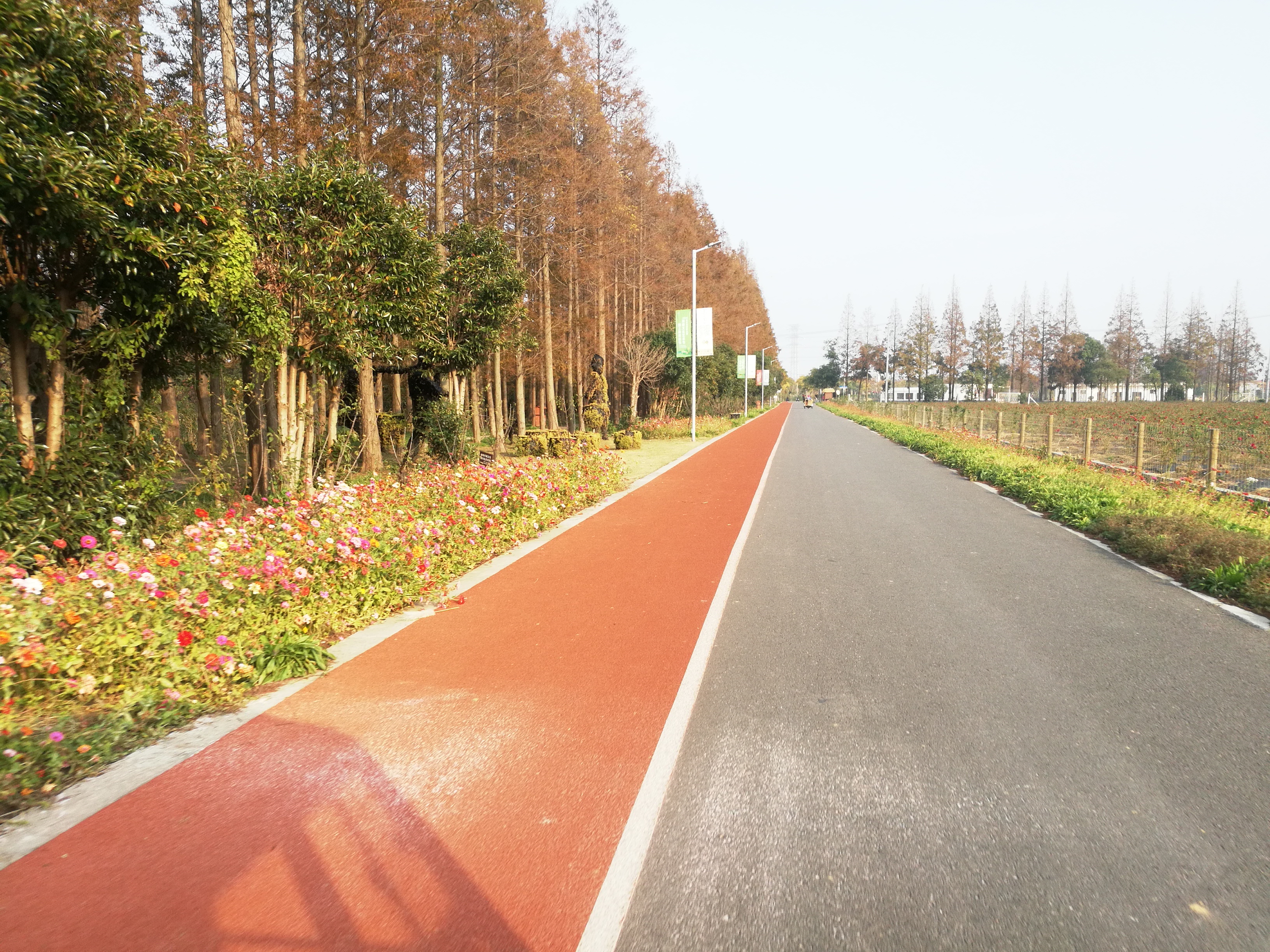 上海崇明岛郊野公园扩建工作,崇明长兴岛公园规划