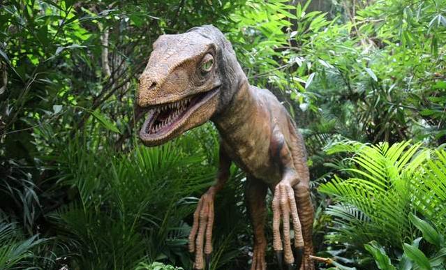 广州长隆四天三晚旅游推荐,4天去广州长隆和珠海看海怎么玩