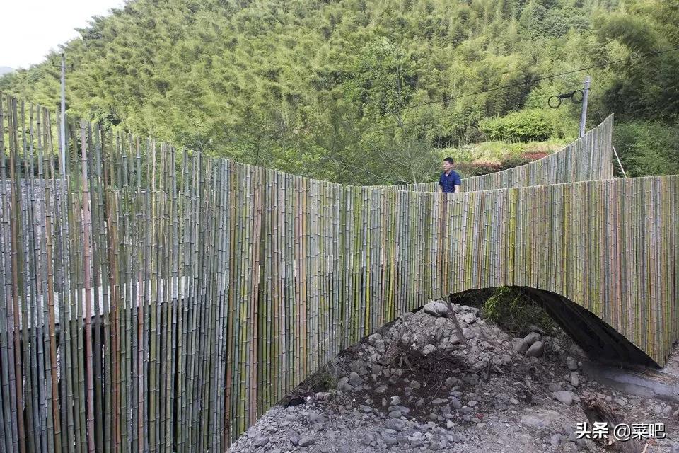 菜吧农庄创意设计,菜吧生态园规划