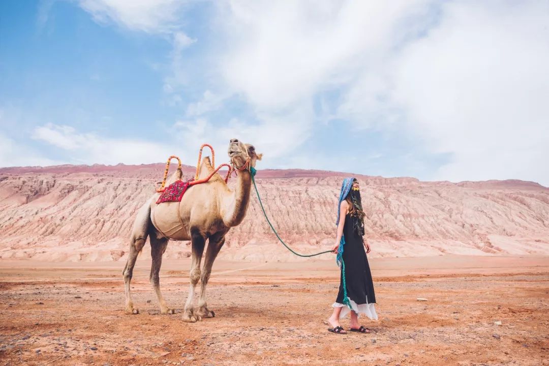 涓嶈兘鍘诲鍦扮殑鐞嗙敱,浜旂浜轰笉鑳藉幓鐤嗗唴鏃呮父