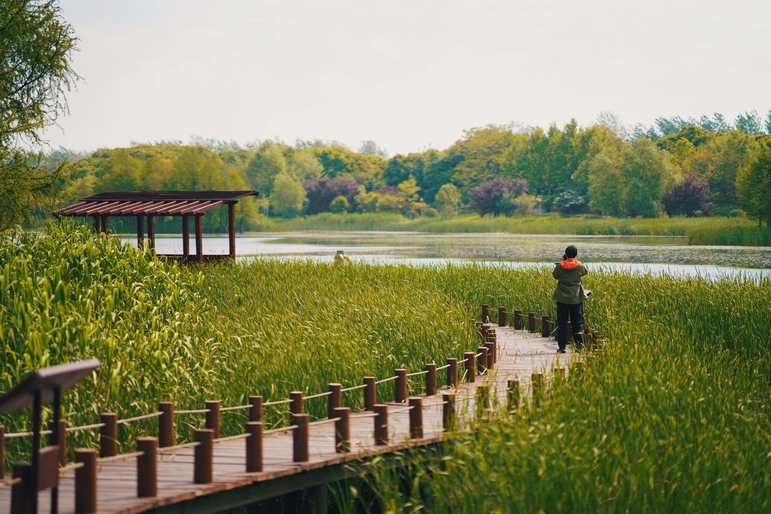 送你一份不走寻常路的苏州攻略，田园风民宿+文艺小清新打卡地