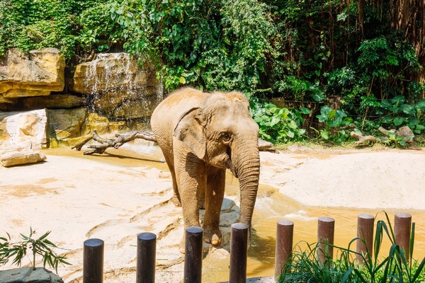 广州长隆旅游攻略自由行详细,广州长隆五一节3天2夜亲子游攻略