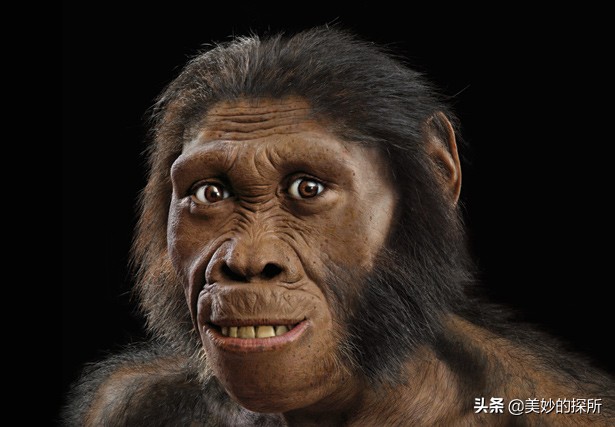 黄种人、黑人、白人为什么可以自由交配,没有产生生殖隔离?