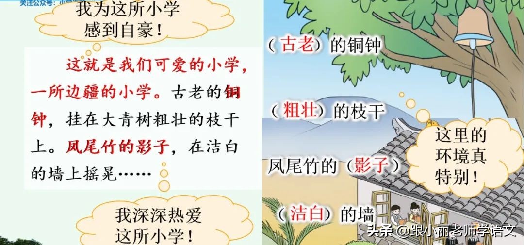 大青树下的小学重要背诵内容,大青树下的小学必会知识点