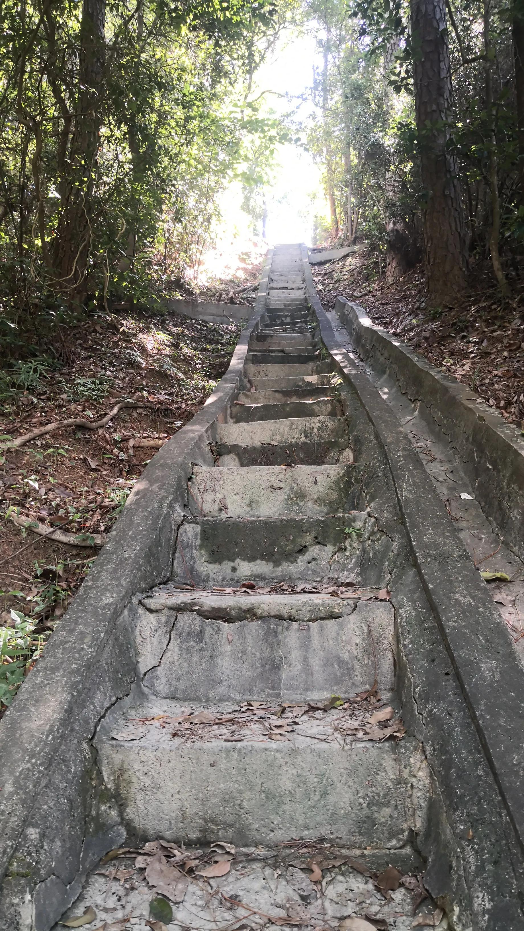 香港凤凰山狗牙岭难度大不大,香港凤凰山最难爬的山